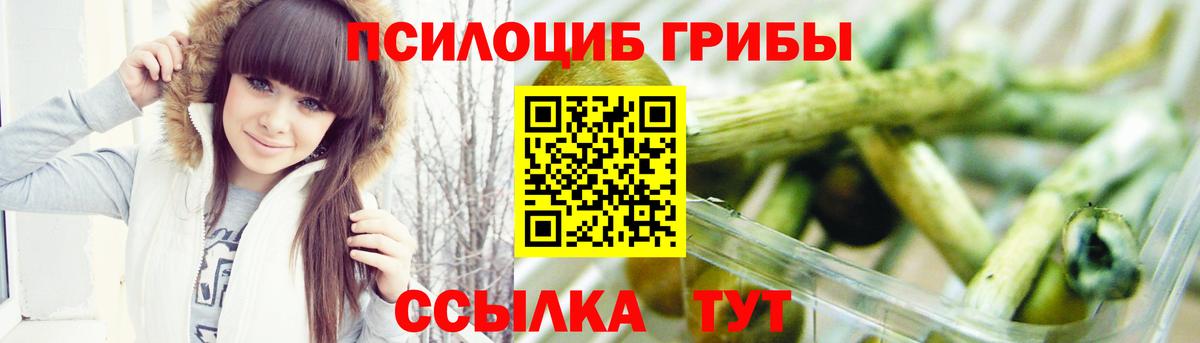 Казань  Галлюциногенные грибы MAGIC MUSHROOMS  Псилоцибиновые грибы Psilocybe  Вход с VPN 